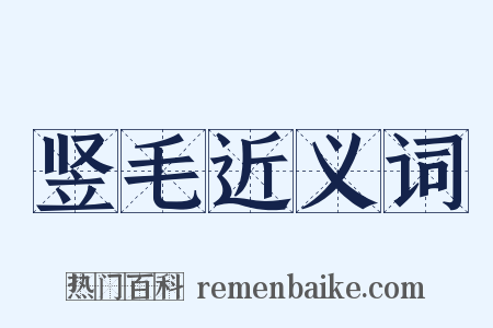 竖毛近义词是什么意思的图片